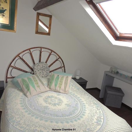 Gite Hyrom 5 Places Moulin De La Placette Faye-d'Anjou Ngoại thất bức ảnh